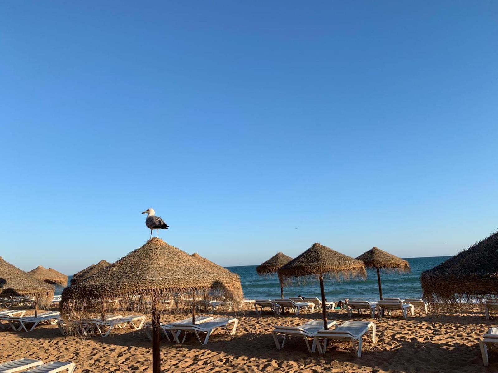 Olimar Sea View Apartment Albufeira Exterior foto